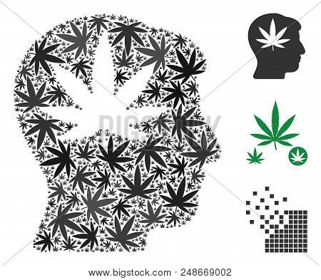 Cannabis Man Head Mosaic Of Weed Leaves In Different Sizes And Color Hues. Vector Flat Grass Leaves 