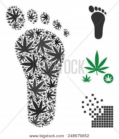 Human Footprint Mosaic Of Hemp Leaves In Variable Sizes And Color Tints. Vector Flat Hemp Symbols Ar