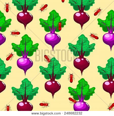 Beetroot With Red Ant Pattern,cartoon Style,vegetables Vector.