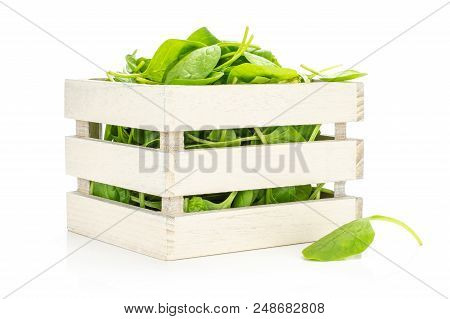 Fresh Baby Spinach Leaves In A Wooden Box Isolated On White Background