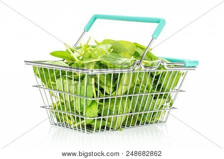 Fresh Baby Spinach Leaves In A Shopping Basket Isolated On White Background