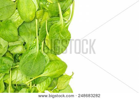 Fresh Baby Spinach Leaves Top View Isolated On White Background Left Corner