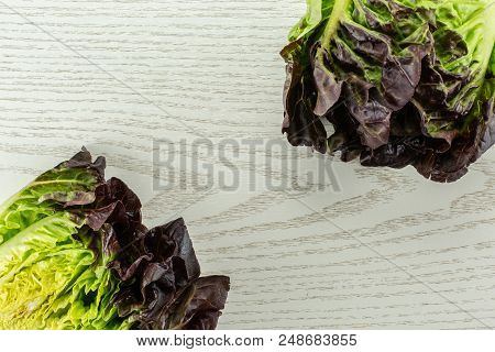 Group Of Two Whole Fresh Green Lettuce Red Little Gem Variety Flatlay On Grey Wood