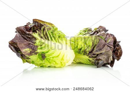 Group Of Two Whole Fresh Green Lettuce Red Little Gem Variety Isolated On White