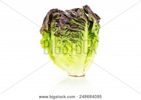 One Whole Fresh Green Lettuce Red Little Gem Variety One Head Isolated On White