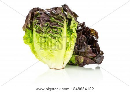 Group Of Two Whole Fresh Green Lettuce Red Little Gem Variety Isolated On White