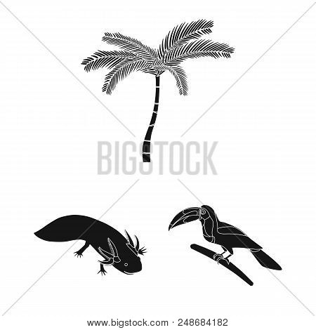Country Mexico Black Icons In Set Collection For Design. Mexico And Landmark Vector Symbol Stock  Il