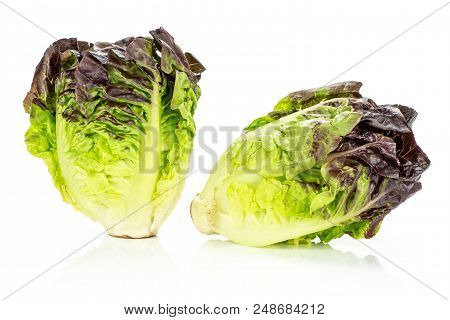 Group Of Two Whole Fresh Green Lettuce Red Little Gem Variety Pair Of Heads Isolated On White