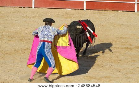 Torero and bull in bullfight. Madrid, Spain.