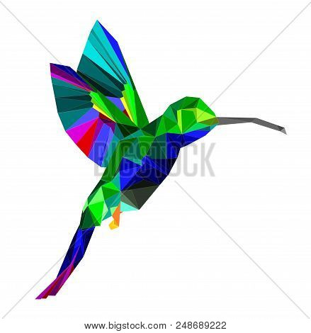 Isolated Low Poly Colorful Hummingbird With Rainbow Back Ground,animal Geometric,vector.