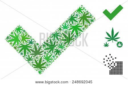 Yes Composition Of Cannabis Leaves In Different Sizes And Color Shades. Vector Flat Weed Leaves Are 