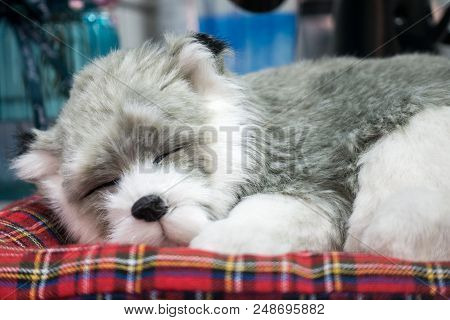 A Close-up Of A Cute Dog Asleep On A Red Checked Mat