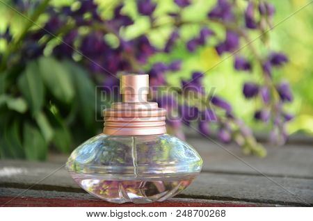 Perfume And Aromatic Oils Bottles Surrounded By Fresh Purpel Flower