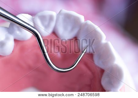 Dentist Cleaning Teeth