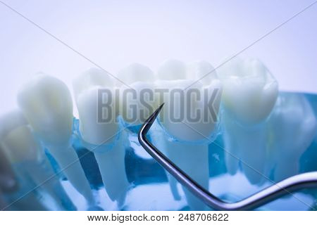 Dentist Cleaning Teeth