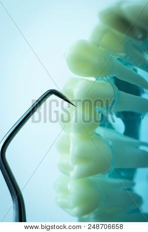 Dentist Cleaning Teeth