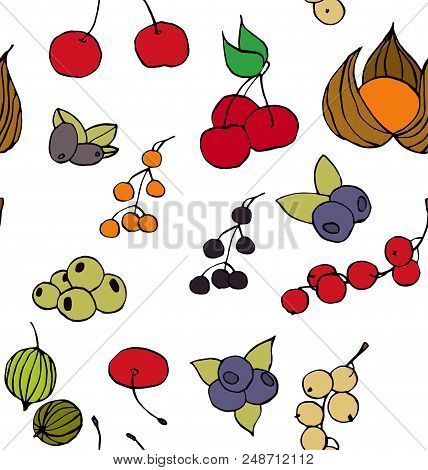 Seamless Pattern With Various Berries On White Background