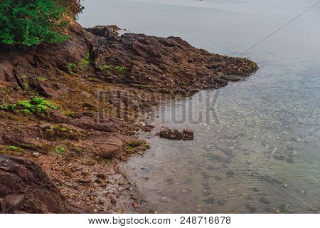 Shore Of The Sea In The Estuary Of Ortigueira. Sweetie. The Coruna. Spain. Europe