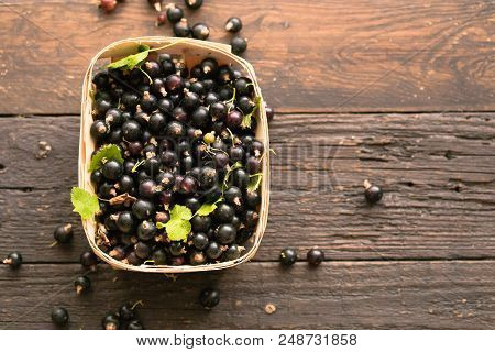Black Currant. Background Of Berries. Fresh Organic Currant From A Rural Garden. Organic Currant Ber