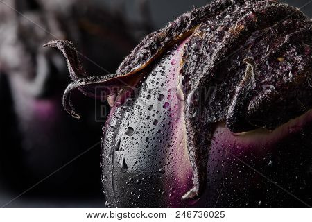 Fresh Italian Type Eggplant Or Aubergine With Water Drops Closeup On Black Background. All In Focus.