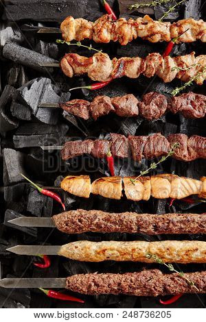 Set of Shish Kebabs or Barbecue Shashlik Collection on Charcoal Background with Herbs and Spices. Skewered Grilled Cubes Mix of Poultry Chicken Meat, Salmon Fish, Beef and Lamb Top View