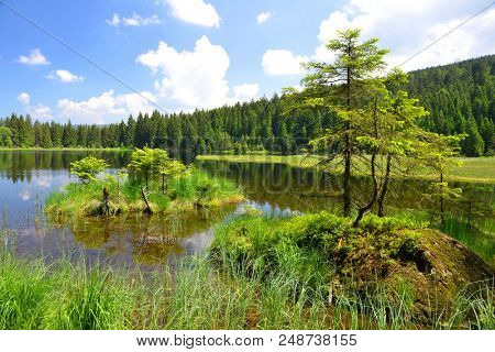 Kleiner Arbersee lake in the National park Bavarian forest,Germany.