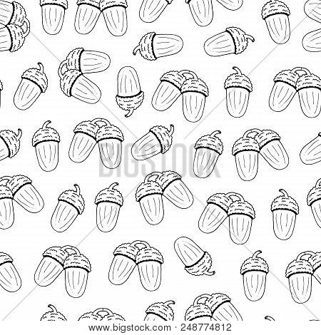 Seamless Pattern From Outline Acorn On A White Background. Hand Drawing. Vector Illustration. Contou
