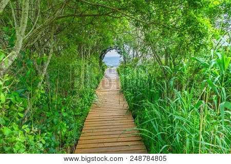 Beach Ocean Path Boardwalk Forest Green Trees Padnaram Dartmouth Massachusetts Atlantic Ocean
