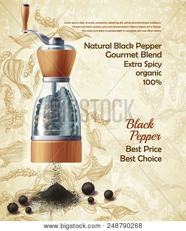 Vector Banner With Pepper Mill, Filled With Black Peppercorns On Textured Background. Natural Ground