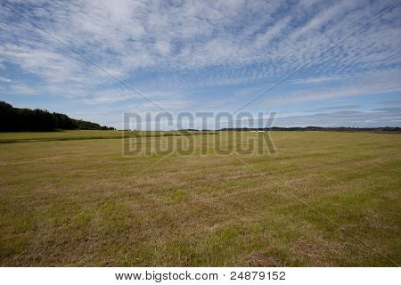 Campo