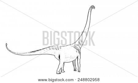 sketch illustration of mamenchisaurus dinosaur