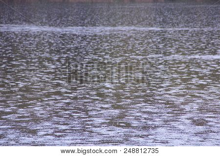 Rain On River. Drops Of Water Fall On Surface Of River During Rain. Water Drops On River Surface