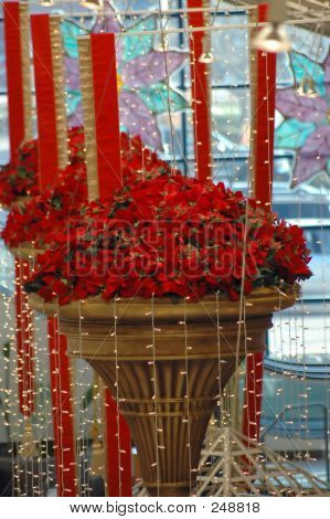 Det begynder at se...