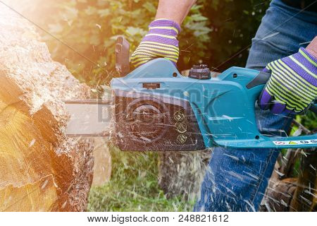 Chainsaw. Chainsaw In Move Cutting Wood. Man Cutting Wood With Saw. Dust And Movements. Close-up Of 