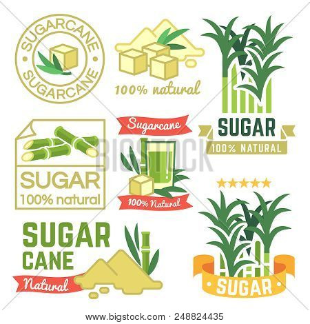 Sugar Production Labels, Sugarcane Farm Badges And Emblems Vector Set. Illustration Of Cane Sugar, S