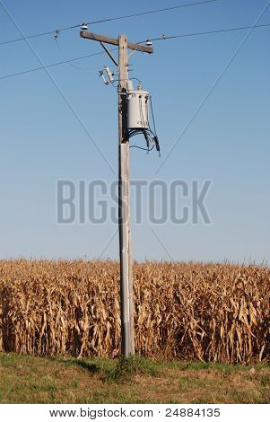 Un poste eléctrico en un camino rural con un campo de maíz en otoño