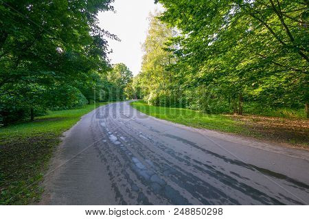 The Asphalt Wet Road Passes Through A Green Deciduous Forest. Beautiful Area For Otosession And For 