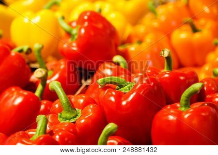 Colourful Mix Of Different Red, Orange, Yellow Fresh Bell Pepper At Market.
