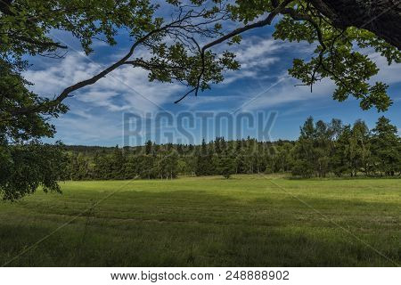 Area Near Novoveska Spring In Slavkovsky Les National Park In Summer Morning