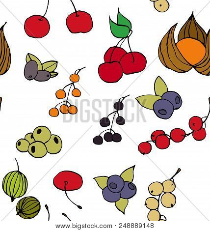 Seamless Pattern With Various Berries. Hand Drawn Illustration