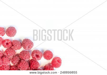 Dripping Raspberry On White Background. Close-up Photo.