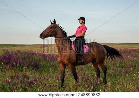 Horsewoman Jockey In Uniform Riding Horse Outdoors. Sunset. Horseback Riding. Competition. Hobby
