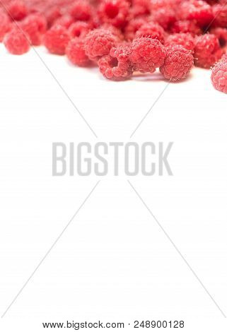 Dripping Raspberry On White Background. Close-up Photo.