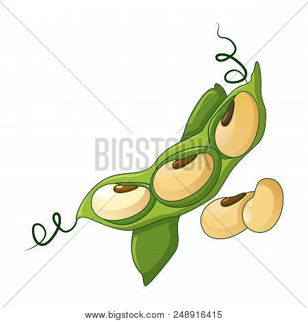 Green Beans Icon. Cartoon Of Green Beans Vector Icon For Web Design Isolated On White Background