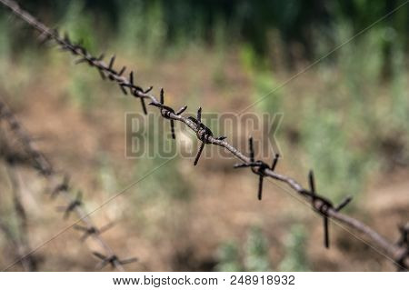 A Rusty Metal Gate Attached To A Wooden Post In A Rural Farmland Setting With Stinging Nettles
