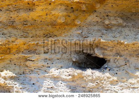 Big Bird Hole Nest In A Sandstone Cliff. Bird Nesting Place.