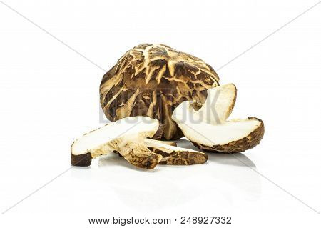 Group Of One Whole One Half Three Slices Of Fresh Raw Brown Shiitake Mushroom Isolated On White