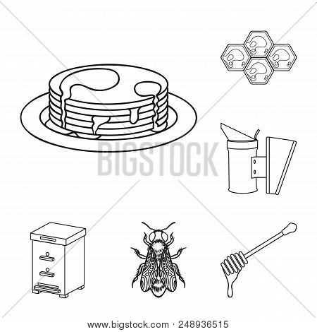 Apiary And Beekeeping Outline Icons In Set Collection For Design.equipment And Production Of Honey V