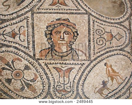 Volubulis--พื้นกระเบื้อง