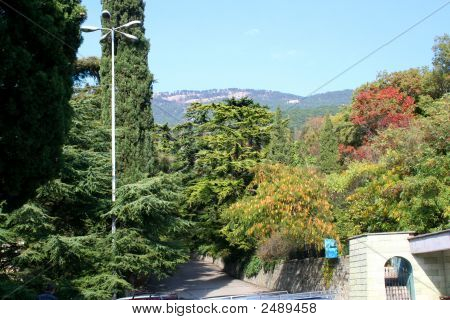 Carretera de montaña